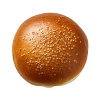 Freshly baked burger bun isolated on transparent background png