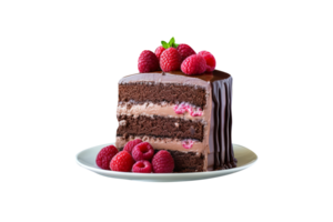 Delicious chocolate cake slice with chocolate icing and raspberries on transparent background png