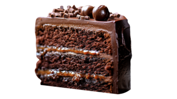 Slice of tasty homemade chocolate cake on transparent background png