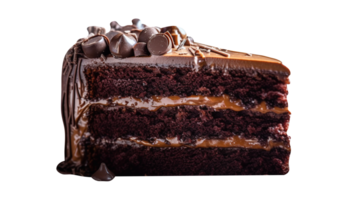 Slice of tasty homemade chocolate cake on transparent background png