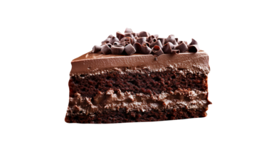 Slice of tasty homemade chocolate cake on transparent background png