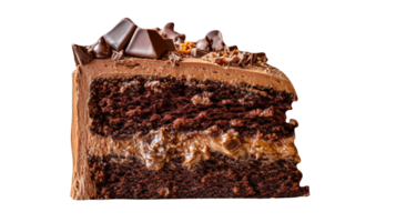 Slice of tasty homemade chocolate cake on transparent background png