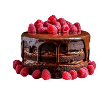 Delicious chocolate cake with chocolate icing and raspberries on transparent background png