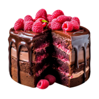 Delicious chocolate cake with chocolate icing and raspberries on transparent background png