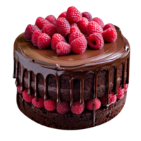 Delicious chocolate cake with chocolate icing and raspberries on transparent background png