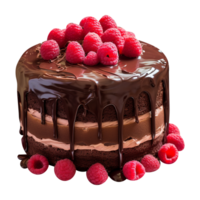 Delicious chocolate cake with chocolate icing and raspberries on transparent background png