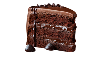 Slice of tasty homemade chocolate cake on transparent background png