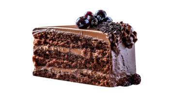 Slice of tasty homemade chocolate cake on transparent background png