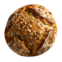 Freshly baked round bread loaf isolated on transparent background png