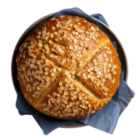 Freshly baked round bread loaf isolated on transparent background png