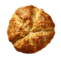 vers gebakken lelijk brood brood geïsoleerd Aan transparant achtergrond png