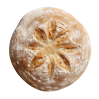 Whole round loaf of fresh baked sourd bread on transparent background png