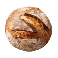 Whole round loaf of fresh baked sourd bread on transparent background png