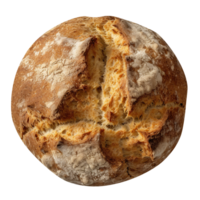 Whole round loaf of fresh baked rye wheat bread on transparent background png