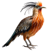 Hoatzin Bird On transparent background. ai generated png