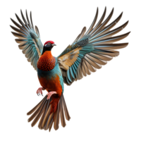 Beautiful pheasant bird on transparent background. ai generated png