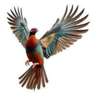 magnifique faisan oiseau sur transparent Contexte. ai généré png