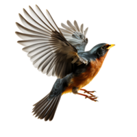 Beautiful robin bird on transparent background. ai generated png