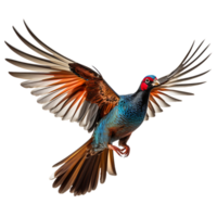 magnifique faisan oiseau sur transparent Contexte. ai généré png