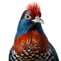 Beautiful pheasant bird on transparent background. ai generated png