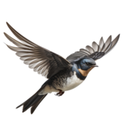 Beautiful swallow bird on transparent background. ai generated png