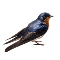 Beautiful swallow bird on transparent background. ai generated png