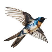 Beautiful swallow bird on transparent background. ai generated png