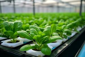 selectivo atención de Fresco orgánico vegetal crecido utilizando hidropónico granja. ai generado. foto