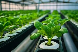 selectivo atención de Fresco orgánico vegetal crecido utilizando hidropónico granja. ai generado. foto