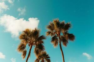 fondo abajo ver de Coco palma arboles y cielo desde el playa punto. con azul cielo amplio ángulo. ai generado foto