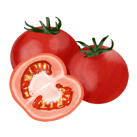 Fresco rojo tomate png gratis