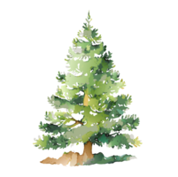 watercolor hand drawn christmas tree. AI Generative png