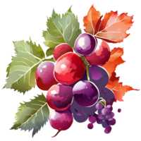 Red grape with leaves water color. AI Generative png