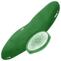 uma pepino e uma fatia do pepino em uma transparente fundo png