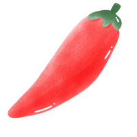 a green chili pepper on a transparent background png