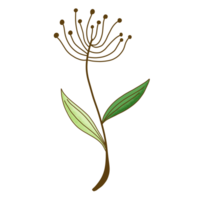 a branch with leaves and green leaves on it png