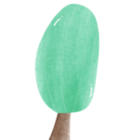 a green tree with a brown trunk on a transparent background png