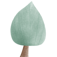 a green tree with a brown trunk on a transparent background png