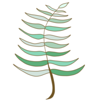 a branch with leaves and green leaves on it png