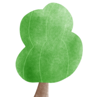 a green tree with a brown trunk on a transparent background png