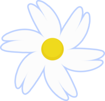 Daisy flower illustration. White chamomile cartoon retro design. png