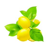 Yellow lemon fruit with leaves transparent background PNG generative ai