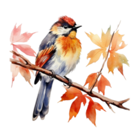 watercolor bird picture in autumn png