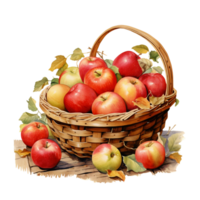 watercolor fruit picture in autumn png