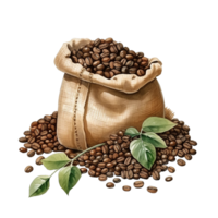 café saveur clipart png