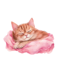 Cute little pink cat watercolor png