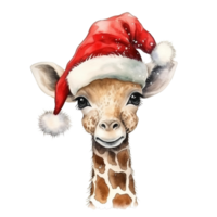 Christmas animal watercolor png