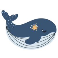 Underwater animal art, Cute blue whale illustration PNG