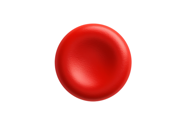 red blood cells clipart