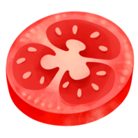 main tiré Frais tomate tranche dessin animé illustration aquarelle png